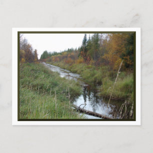 Minnesota Creek/Autumn Briefkaart