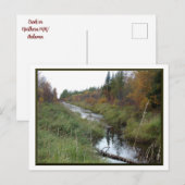 Minnesota Creek/Autumn Briefkaart (Voorkant / Achterkant)