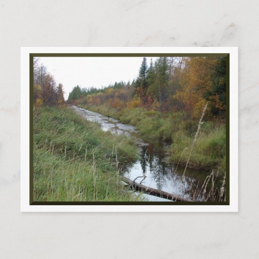Minnesota Creek/Autumn Briefkaart (Voorkant)
