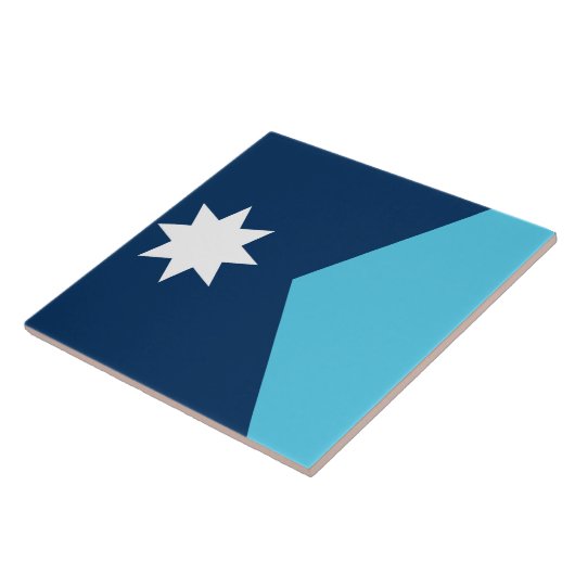 Minnesota Flag Tile Tegeltje (Zijkant)