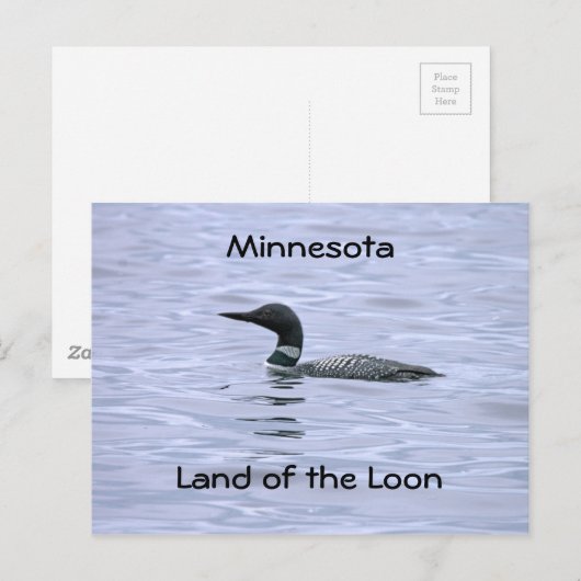 Minnesota land Loon Briefkaart (Voorkant / Achterkant)