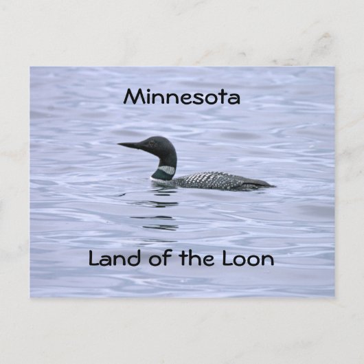 Minnesota land Loon Briefkaart (Voorkant)