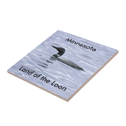 Minnesota Land van de Loon Tegeltje (Zijkant)