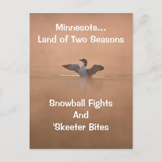 Minnesota...Land van twee seizoenen Briefkaart (Voorkant)