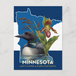 Minnesota Loon En Wildbloem Staatssymbolen Briefkaart