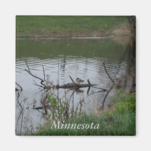Minnesota Magneet (Voorkant)
