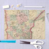 Minnesota Map door Mitchell Tissuepapier (Craft)