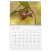 Minnesota Orchids kalender (Mar 2026)