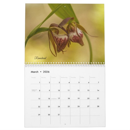 Minnesota Orchids kalender (Mar 2026)