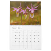 Minnesota Orchids kalender (Feb 2026)