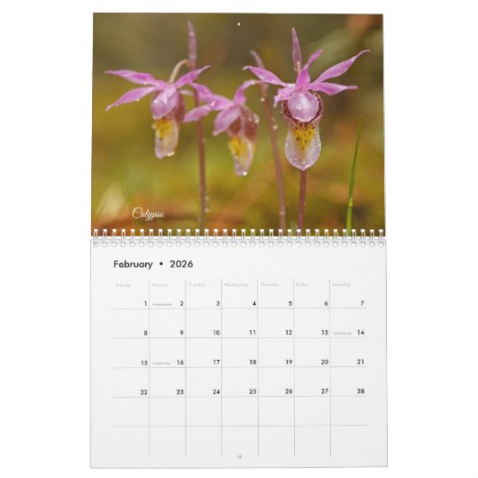 Minnesota Orchids kalender (Feb 2026)