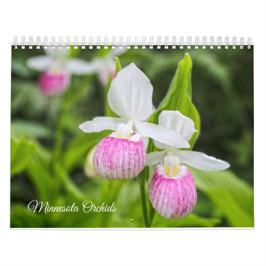 Minnesota Orchids kalender (Hoes)