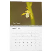 Minnesota Orchids kalender (Jan 2026)