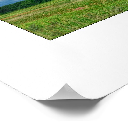 Minnesota Prairie Poster (Hoek)