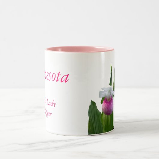 Minnesota, Roze Dame Slipper Tweekleurige Koffiemok (Center)