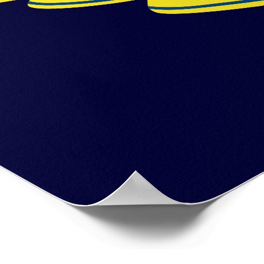 Minnesota Seal Poster (Hoek)