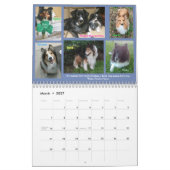 Minnesota Sheltie Calendar voor 2019 Kalender (Mar 2027)
