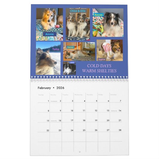 MINNESOTA SHELTIE REDDING KALENDER 2024 (Feb 2026)