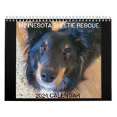 MINNESOTA SHELTIE REDDING KALENDER 2024 (Hoes)
