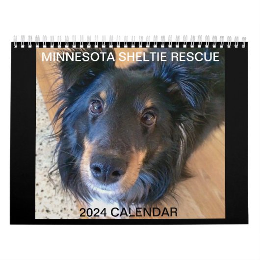 MINNESOTA SHELTIE REDDING KALENDER 2024 (Hoes)
