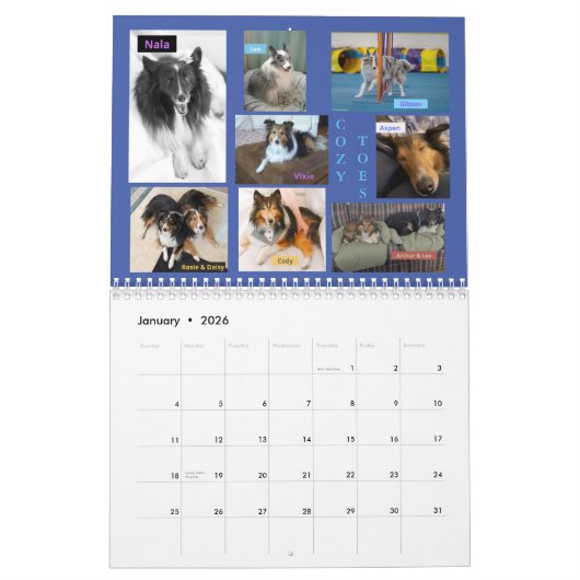 MINNESOTA SHELTIE REDDING KALENDER 2024 (Jan 2026)