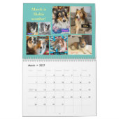 MINNESOTA SHELTIE REDDING KALENDER 2024 (Mar 2027)