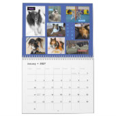 MINNESOTA SHELTIE REDDING KALENDER 2024 (Jan 2027)