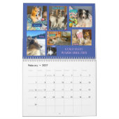 MINNESOTA SHELTIE REDDING KALENDER 2024 (Feb 2027)