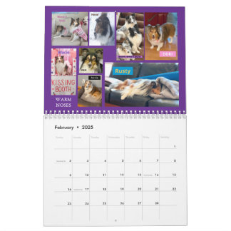Minnesota Sheltie Reddingskalender 2025 Kalender