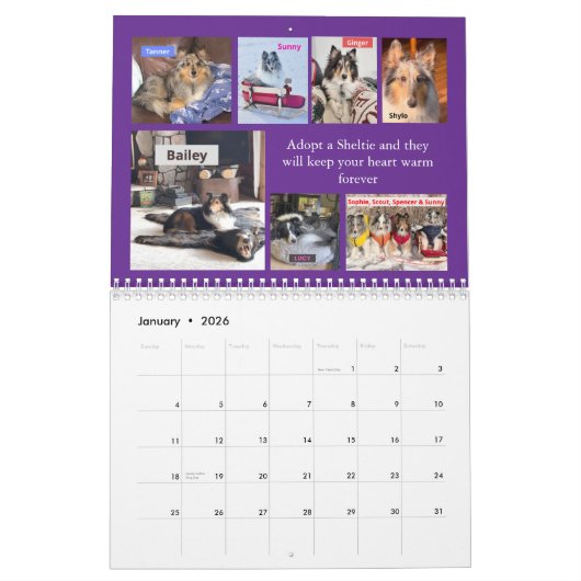 Minnesota Sheltie Reddingskalender 2025 Kalender (Jan 2026)