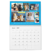 Minnesota Sheltie Reddingskalender 2025 Kalender (Mar 2027)