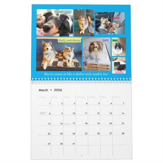 Minnesota Sheltie Reddingskalender 2025 Kalender (Mar 2026)