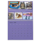 Minnesota Sheltie Rescue 2021-kalender Kalender (Jan 2027)