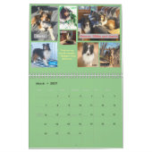 Minnesota Sheltie Rescue 2021-kalender Kalender (Mar 2027)