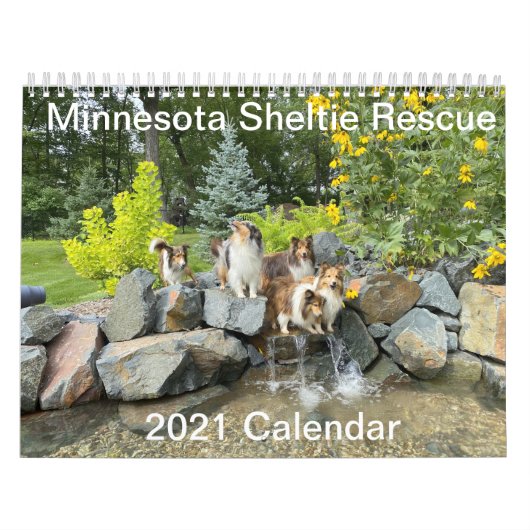 Minnesota Sheltie Rescue 2021-kalender Kalender (Hoes)