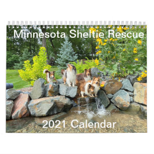 Minnesota Sheltie Rescue 2021-kalender Kalender
