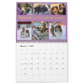 MINNESOTA SHELTIE RESCUE 2023 CALENDAR KALENDER (Feb 2027)