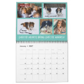 MINNESOTA SHELTIE RESCUE 2023 CALENDAR KALENDER (Jan 2027)