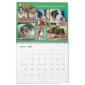 MINNESOTA SHELTIE RESCUE 2023 CALENDAR KALENDER (Mar 2027)