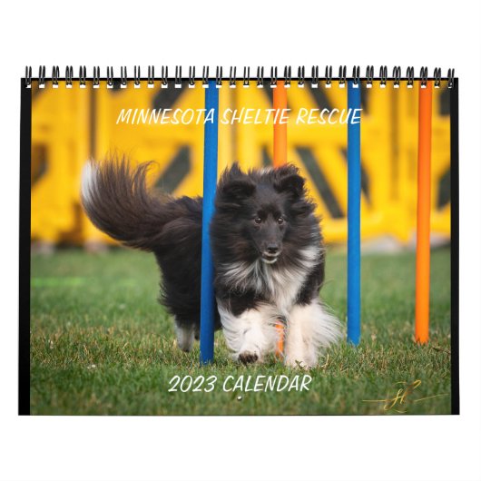 MINNESOTA SHELTIE RESCUE 2023 CALENDAR KALENDER (Hoes)