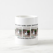 Minnesota Sheltie Rescue BARK Mok (Center)