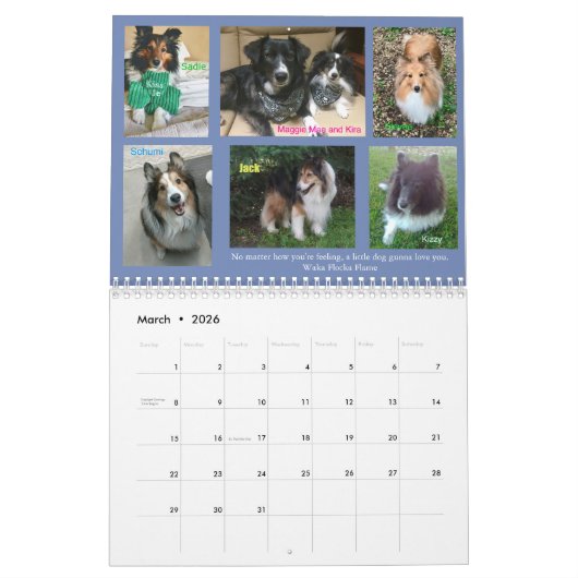 Minnesota Sheltie Rescue Calendar 2019 Kalender (Mar 2026)