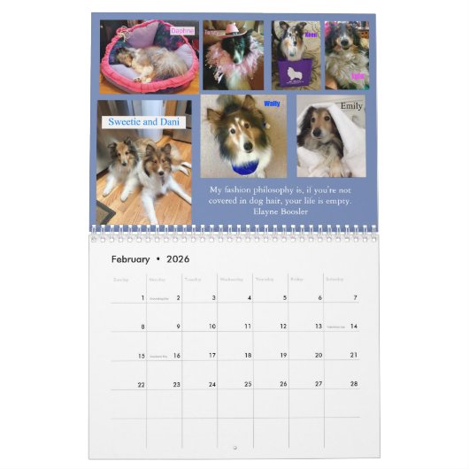 Minnesota Sheltie Rescue Calendar 2019 Kalender (Feb 2026)