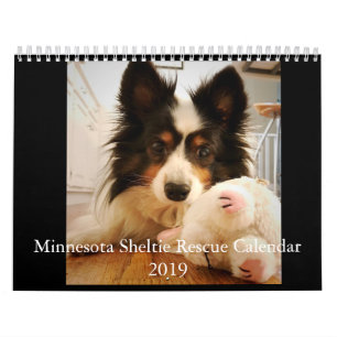 Minnesota Sheltie Rescue Calendar 2019 Kalender