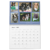 Minnesota Sheltie Rescue Calendar 2019 Kalender (Mar 2027)