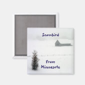 Minnesota sneeuwvogelmagneet magneet (Voorkant / Achterkant)