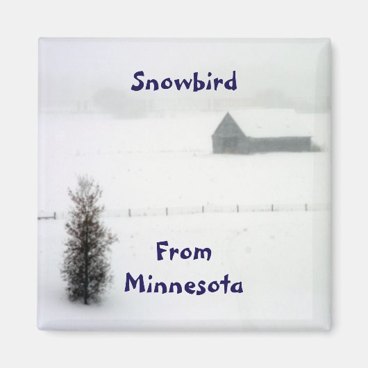 Minnesota sneeuwvogelmagneet magneet (Voorkant)