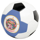 Minnesota Staatsvlag Voetbal (Drie kwart)