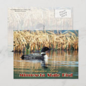 Minnesota State Bird - Common Loon Briefkaart (Voorkant / Achterkant)