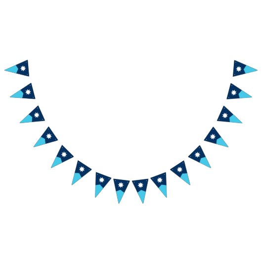 Minnesota State Flag Pennant Bunting Vlaggetjes (Alle)